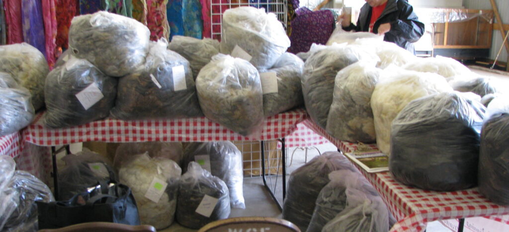 Our table display of raw fleece at the Shepherds Harvest Fest